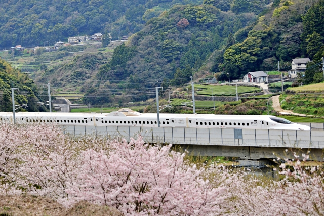 桜の木と新幹線