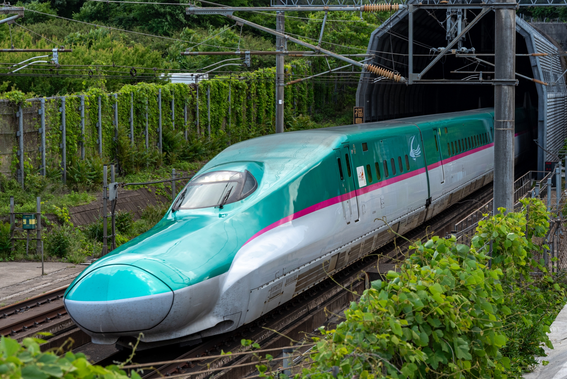 トンネルから出てきた新幹線